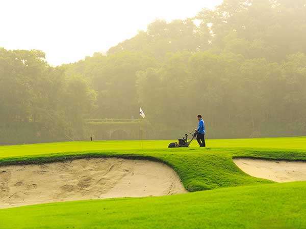 高爾夫球場草坪圖片