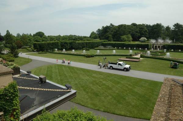 花園草坪庭院家庭別墅私家園林綠化草坪草 花園草坪庭院家庭別墅私家園林綠化草坪草