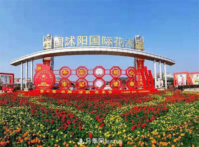 值得收藏！這些全國著名苗木產地你知道幾個？