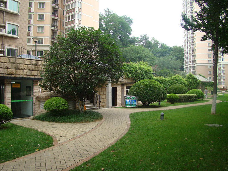 小區庭院住宅院子園林綠化苗木品種 小區庭院住宅院子園林綠化苗木品種