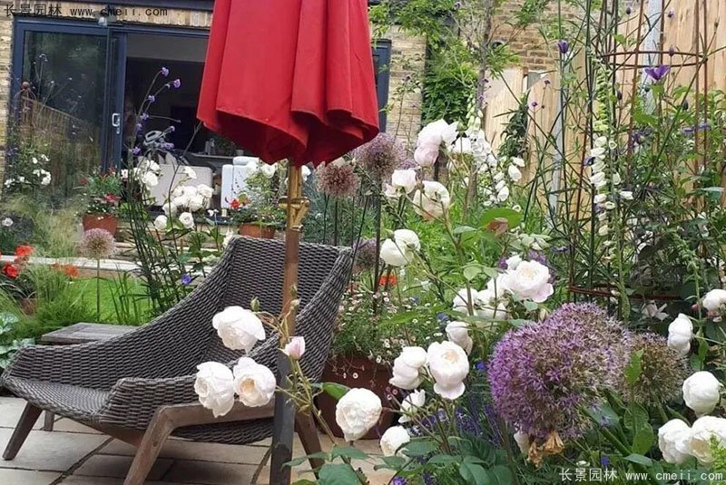 別墅庭院子四季開花植物 別墅庭院子四季開花植物