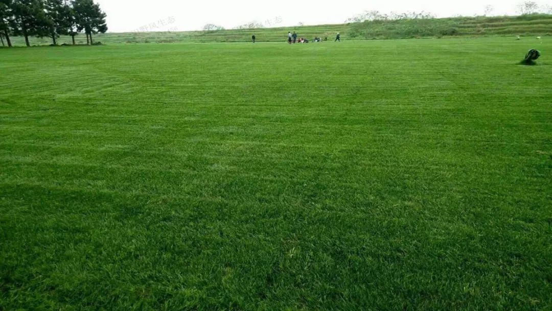 1672622219939555.jpg 微信圖片_20220820070604.jpg