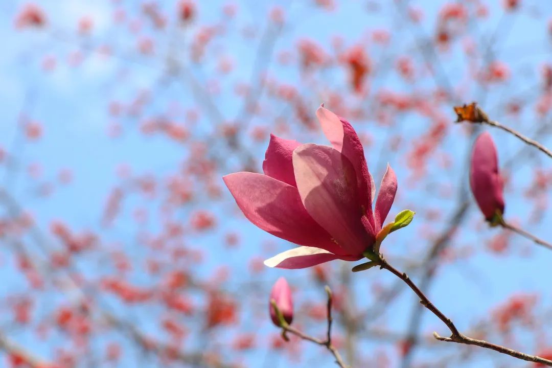 1672662394119958.jpg 微信圖片_20221125235203.jpg