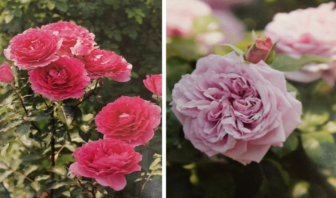 1673145000776089.png 微信圖片_20230107200241.png