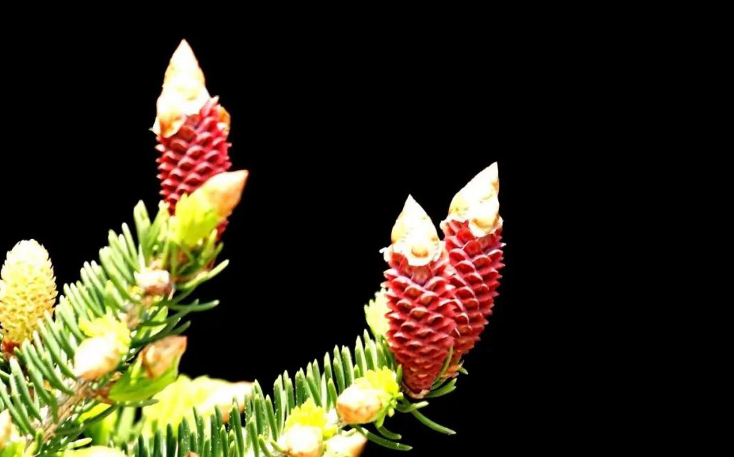 1673146688817724.jpg 微信圖片_20230108105644.jpg