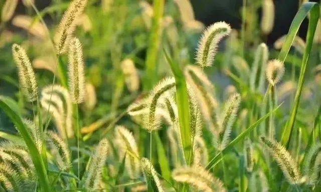 1673146792269217.jpg 微信圖片_20221128215351.jpg