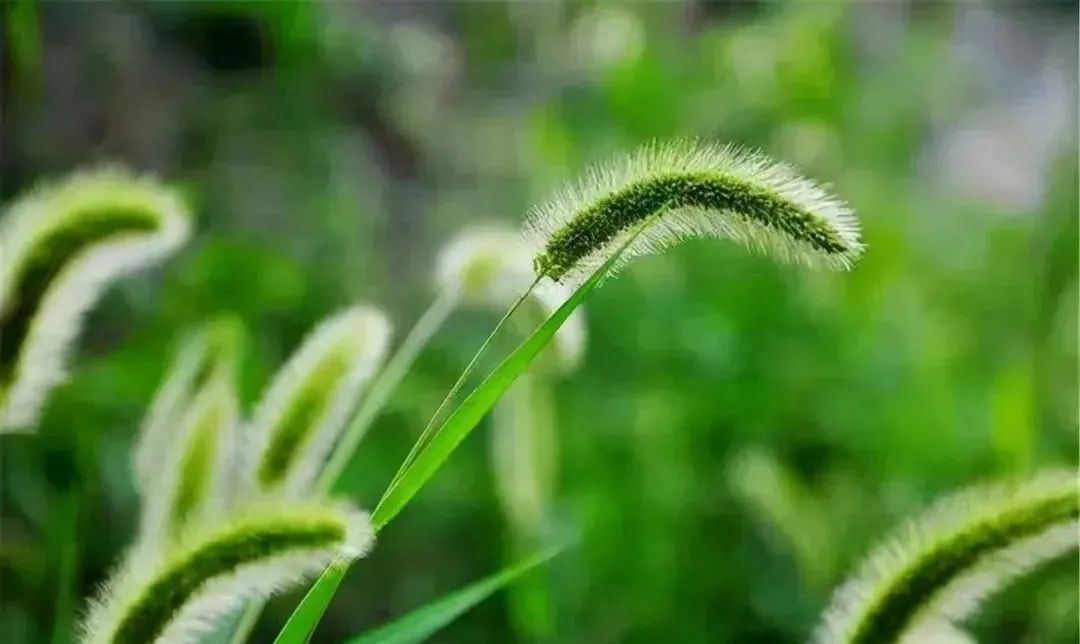 1673146801404056.jpg 微信圖片_20221128215405.jpg