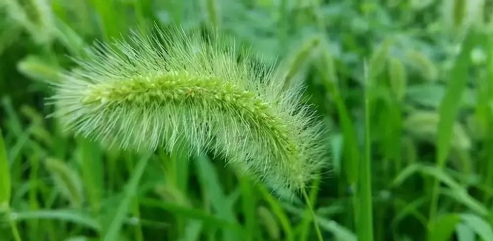 1673147694440457.jpg 微信圖片_20221128215411.jpg