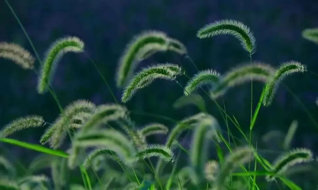 1673147705494042.jpg 微信圖片_20221128215415.jpg