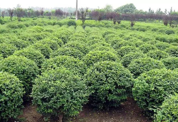 1673147984871209.jpg 微信圖片_20230107221118.jpg