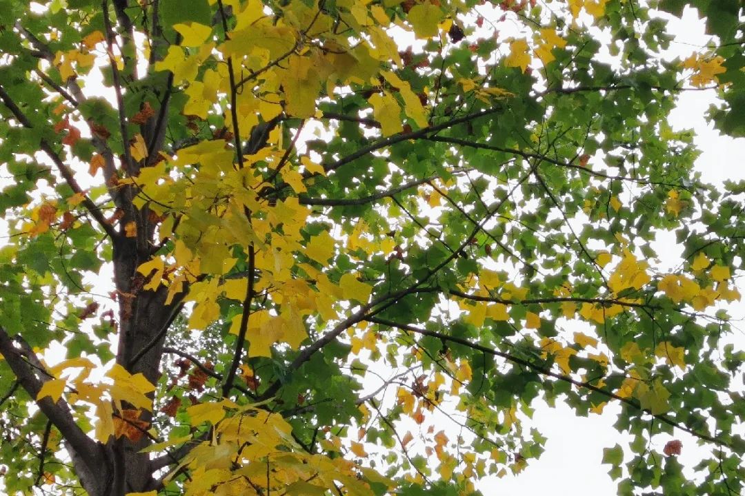 1673150297161575.jpg 微信圖片_20230108112944.jpg