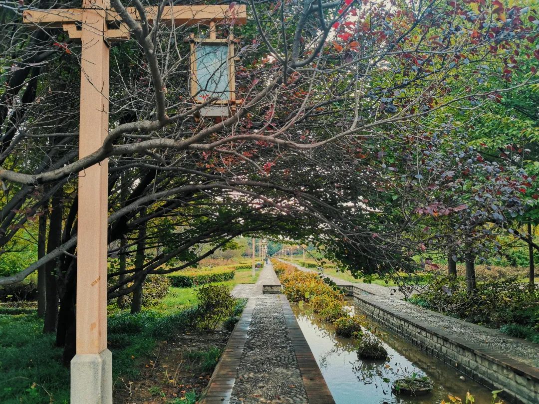 1673150326127069.jpg 微信圖片_20230108115759.jpg