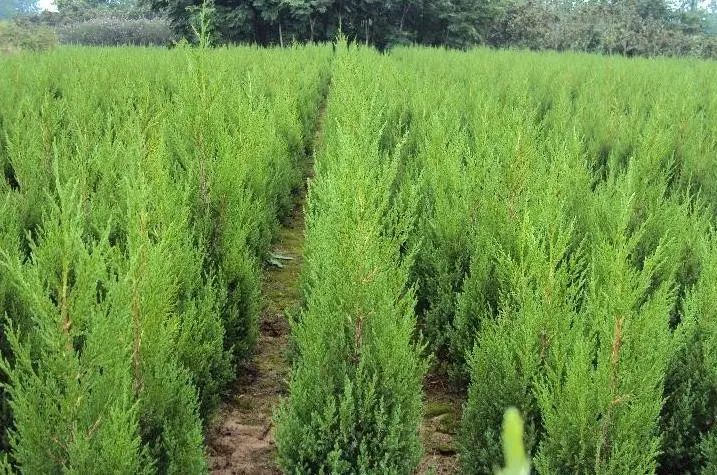 1673150472993709.jpg 微信圖片_20230107194013.jpg