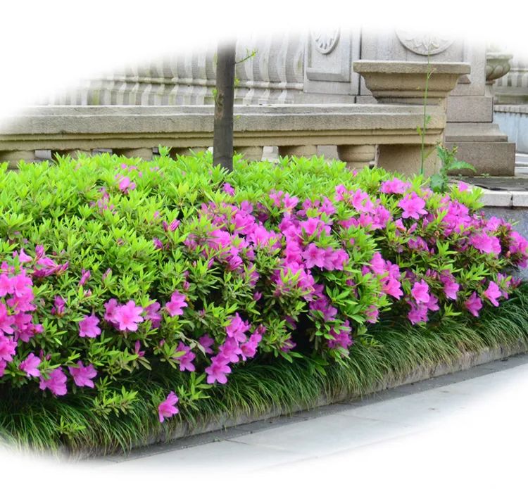 1673150820706287.jpg 微信圖片_20230108120503.jpg