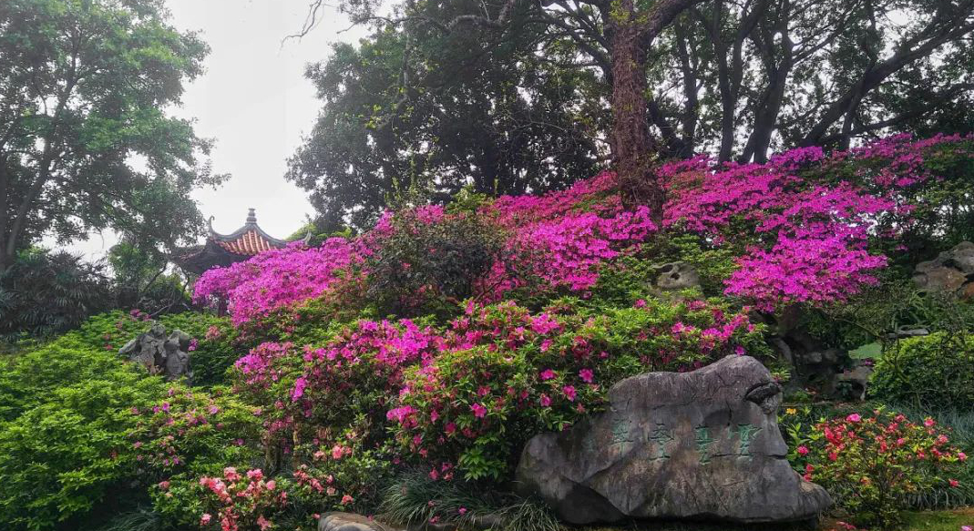 1673150844360264.jpg 微信圖片_20230108120543.jpg