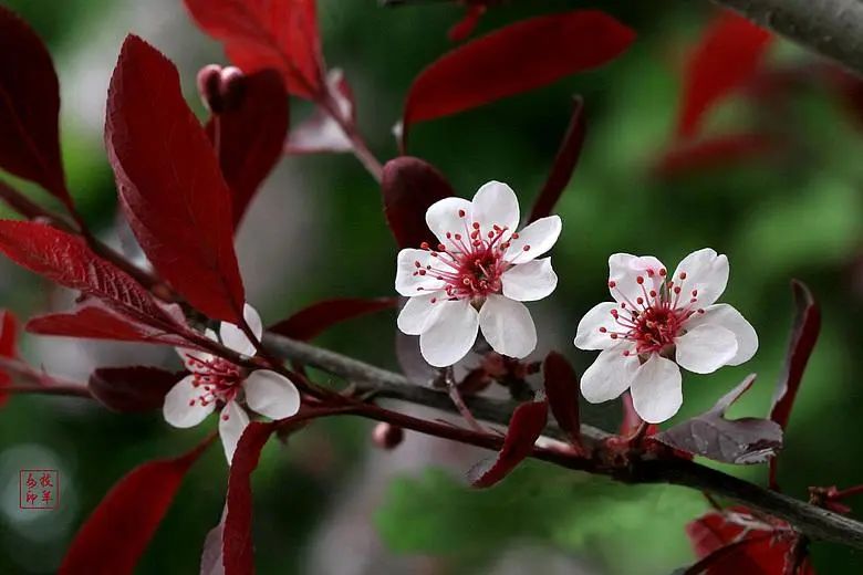 1673151486959027.jpg 微信圖片_20230107162448.jpg