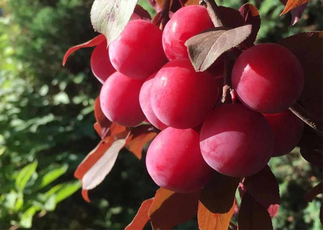 1673151502219251.jpg 微信圖片_20230107162455.jpg