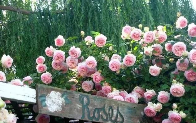 1673151623996556.jpg 微信圖片_20230108121932.jpg