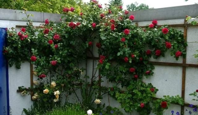 1673151639208087.jpg 微信圖片_20230108121952.jpg