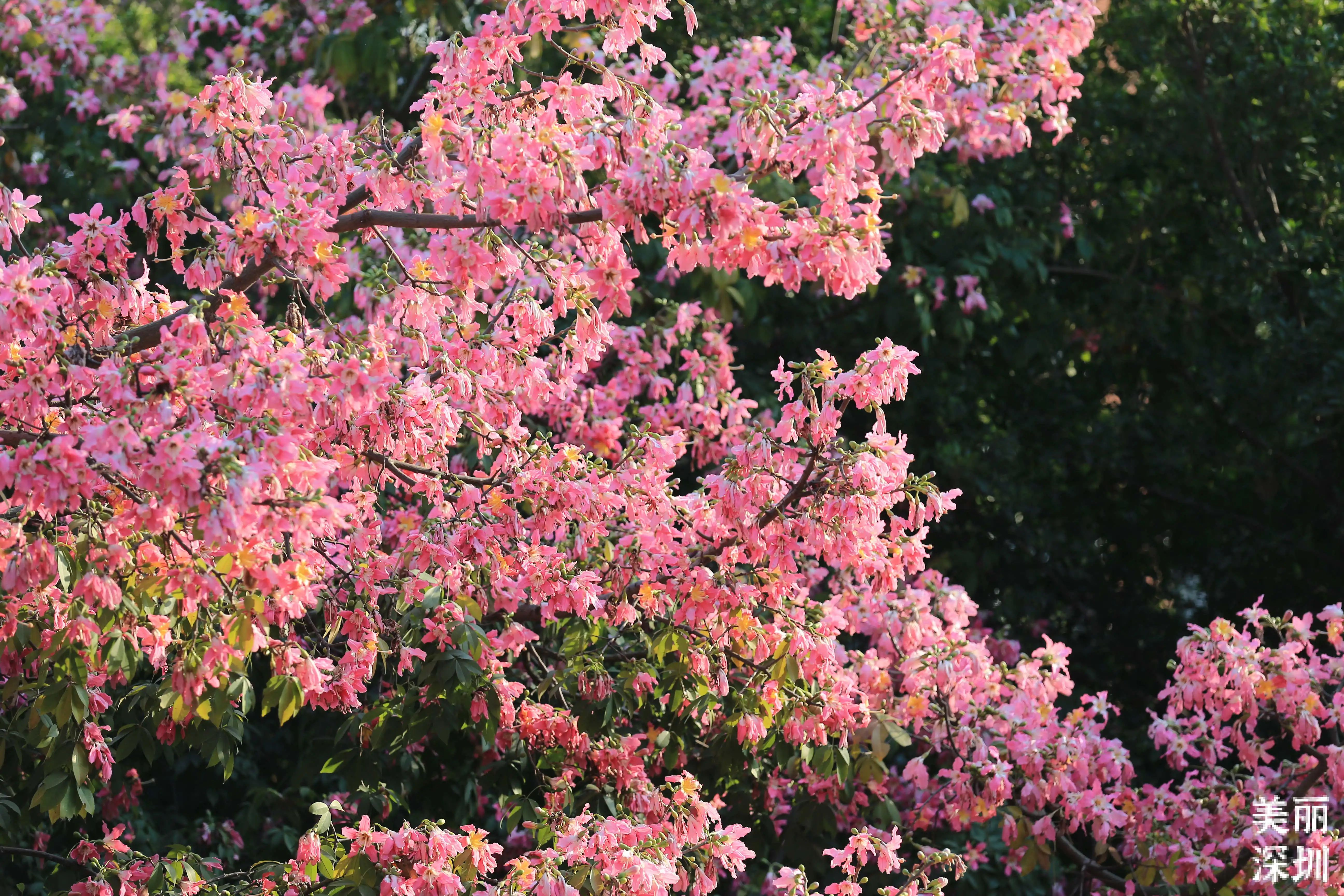 1673274028529499.jpg 微信圖片_20221023222639.jpg