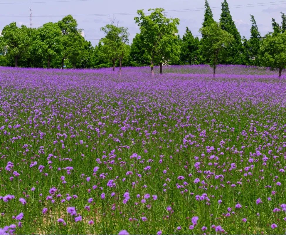 1673274041547865.jpg 微信圖片_20221023222556.jpg