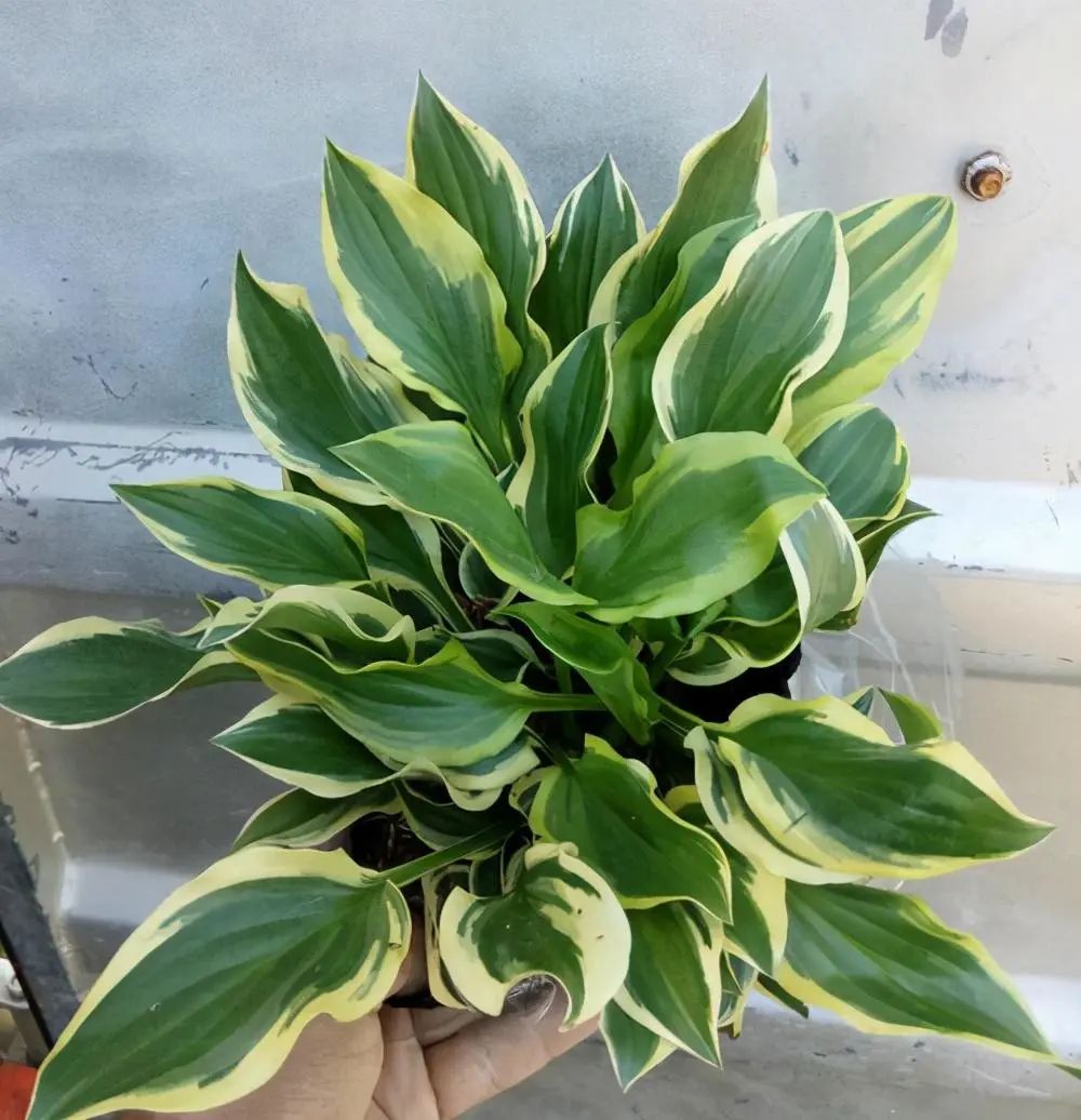 1673356529462382.jpg 微信圖片_20230108102753.jpg