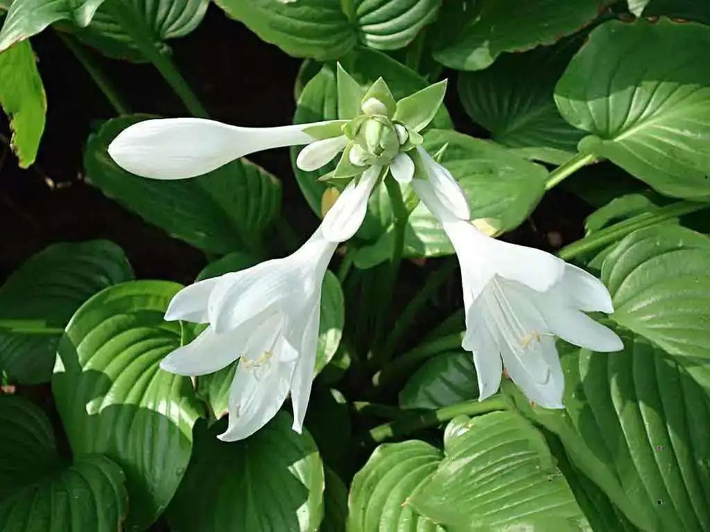 1673356539931882.jpg 微信圖片_20230108102803.jpg