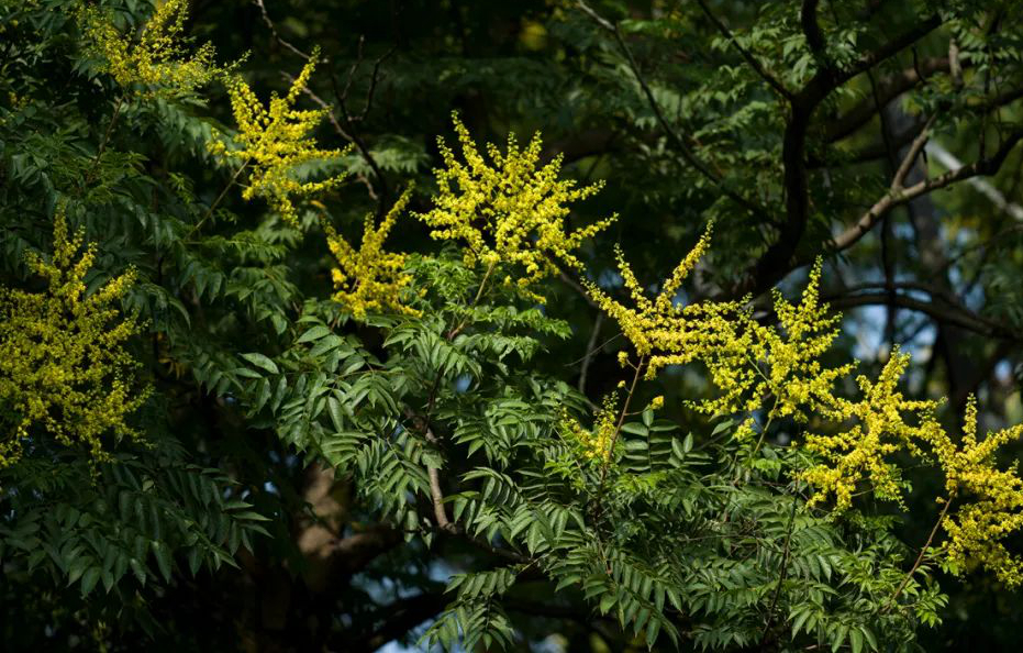 1673385512987923.jpg 微信圖片_20230107200532.jpg