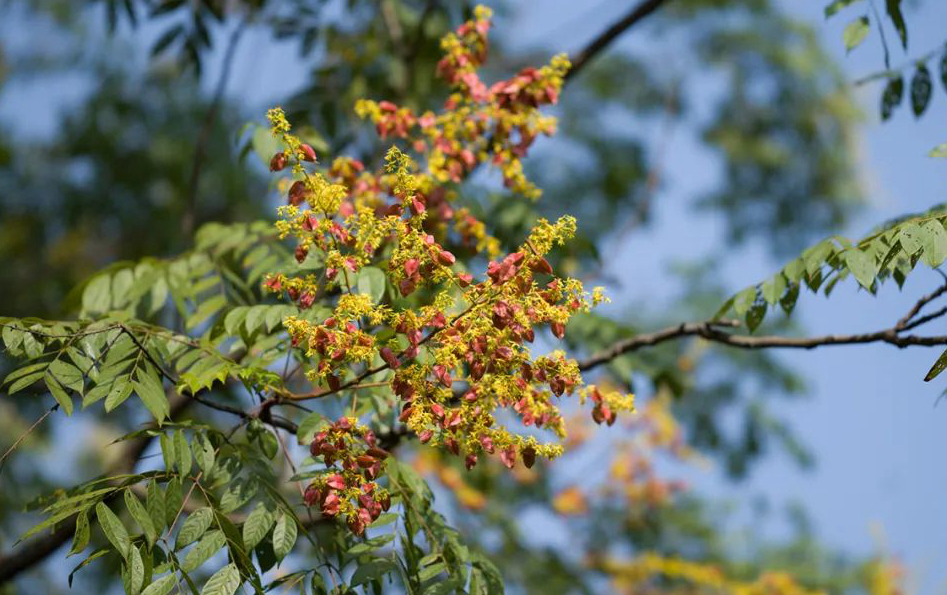 1673385519795440.jpg 微信圖片_20230107200538.jpg