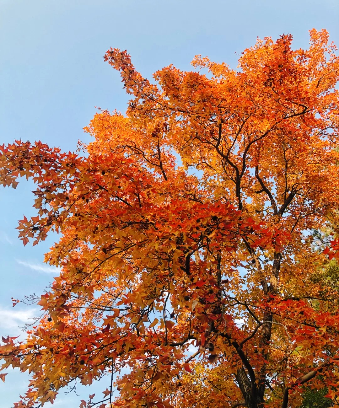 1673385601444747.png 微信圖片_20230107171458.png