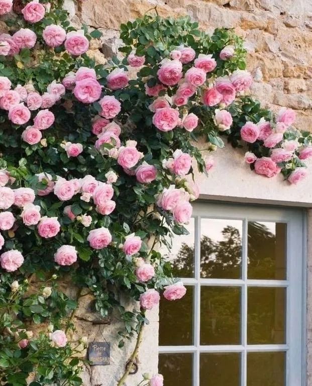 1673385906481899.jpg 微信圖片_20230108121920.jpg