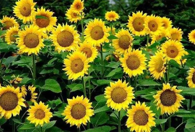 1673560447137844.jpg 微信圖片_20220813070651.jpg