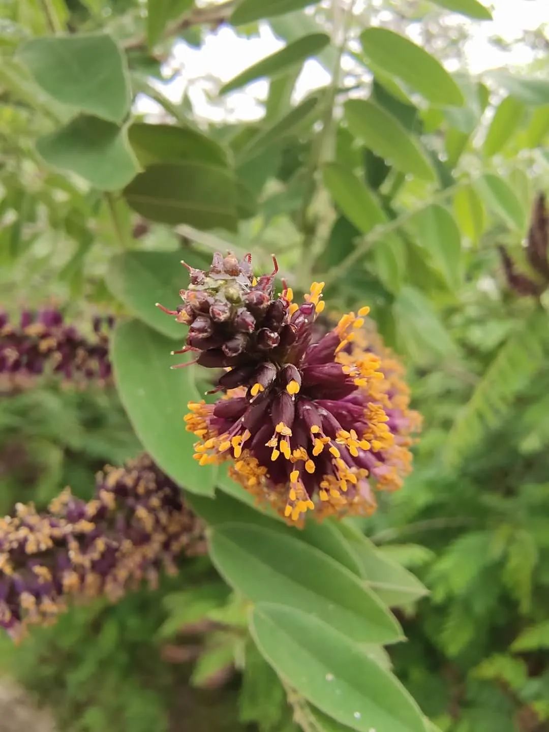 1673779708509941.jpg 微信圖片_20221126002603.jpg