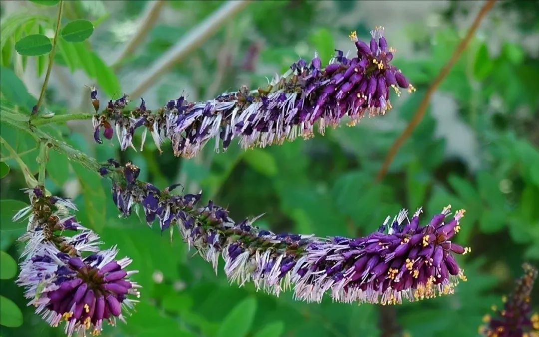 1673779716477472.jpg 微信圖片_20230115184748.jpg