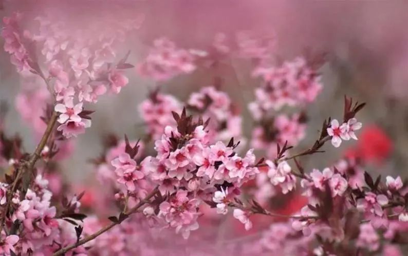 1673780214742017.jpg 微信圖片_20230115185604.jpg