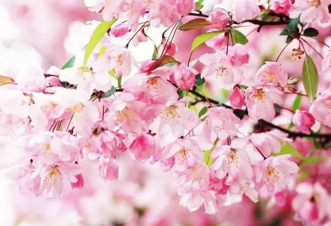 1673781104454930.jpg 微信圖片_20221023234423.jpg