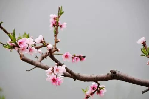 1673781117233946.jpg 微信圖片_20221023234338.jpg