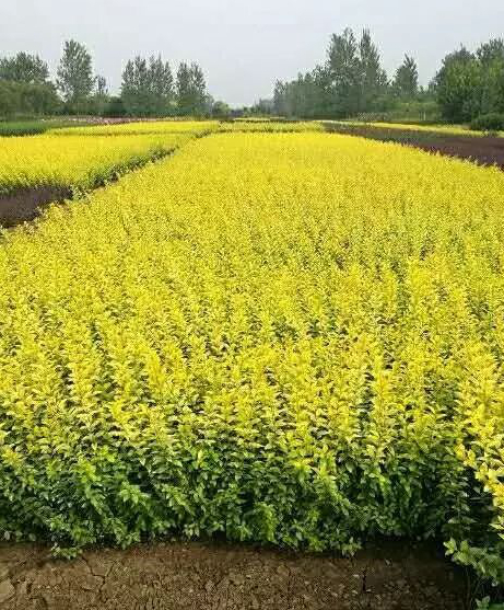 1673781675780044.jpg 微信圖片_20230115191829.jpg