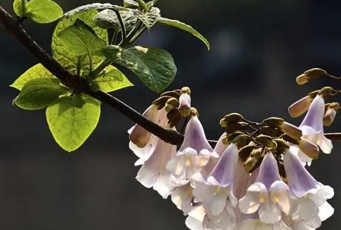 1673781880405070.jpg 微信圖片_20230115192223.jpg