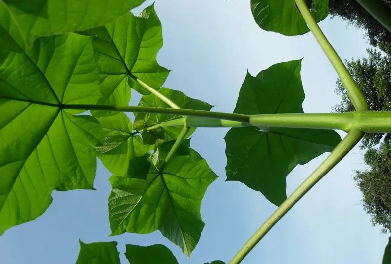 1673781887255860.jpg 微信圖片_20230115192236.jpg