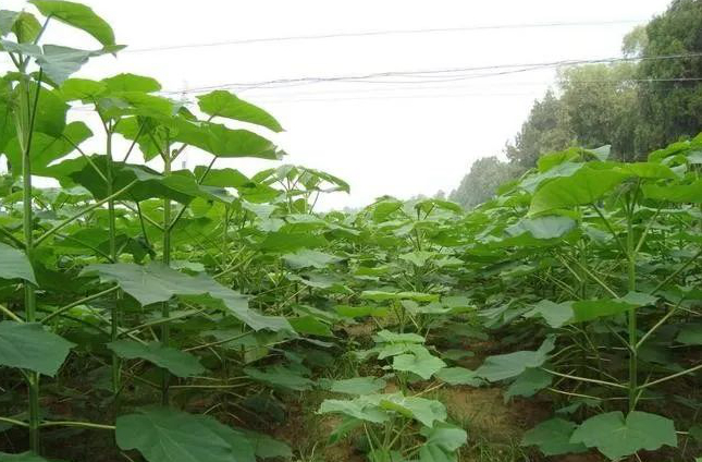 1673781949398517.jpg 微信圖片_20230115192240.jpg