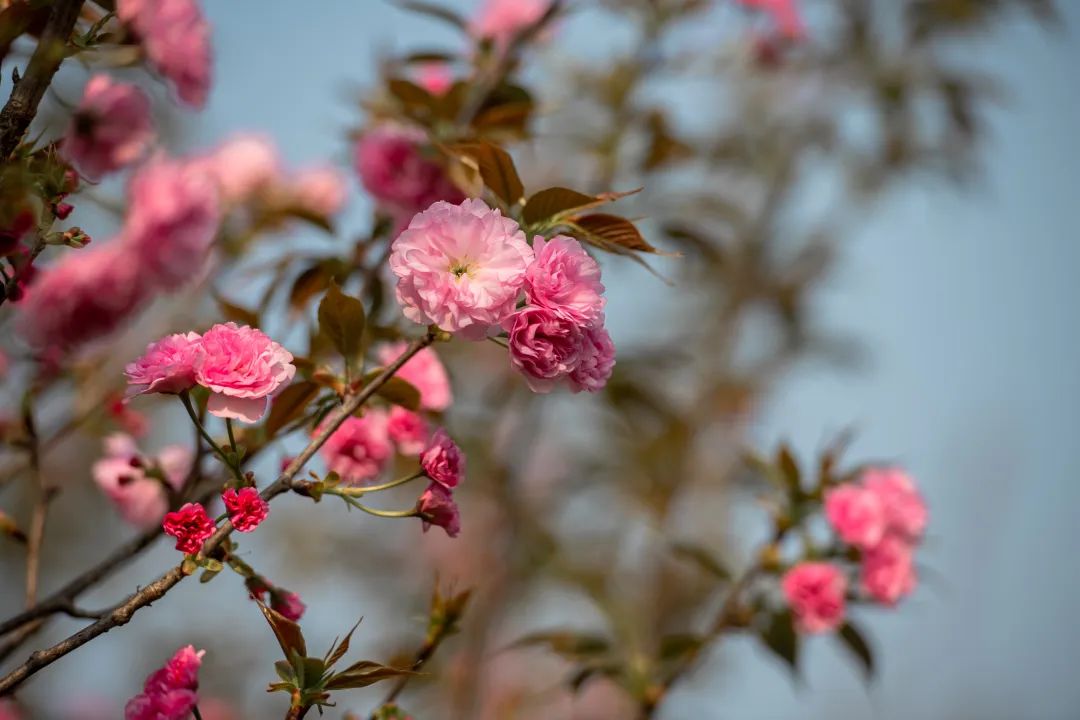 1674483410198752.jpg 微信圖片_20221101160125.jpg