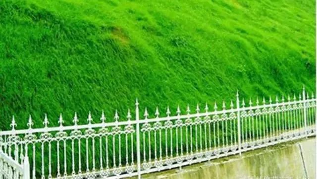 1674484603792194.jpg 微信圖片_20221026223243.jpg