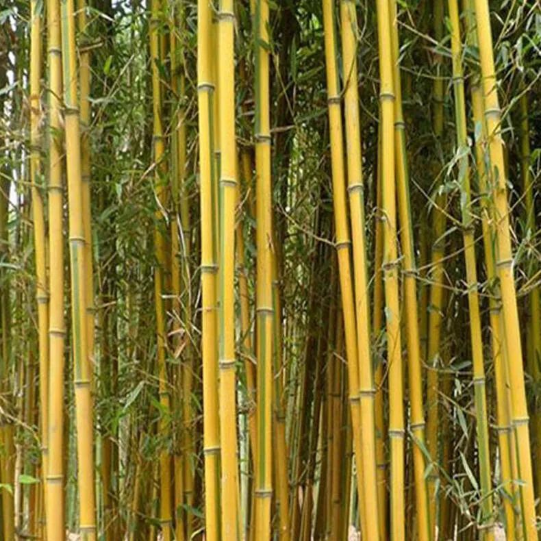 1675199963716077.jpg 微信圖片_20230201051752.jpg