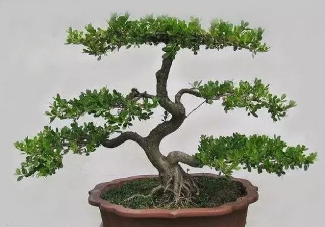 1675290767768949.jpg 微信圖片_20230112201358.jpg