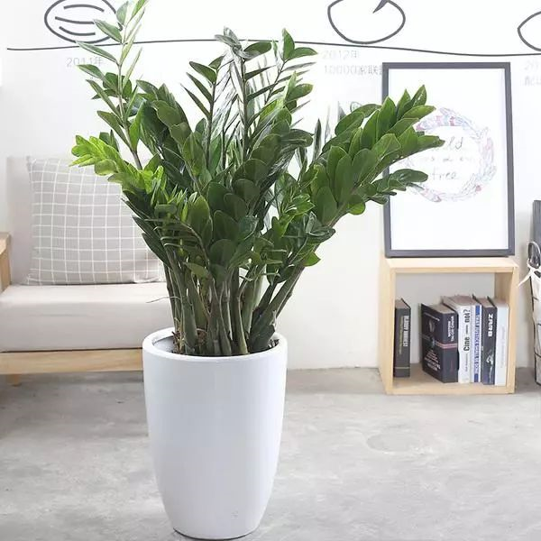 1675290883619452.png image.png