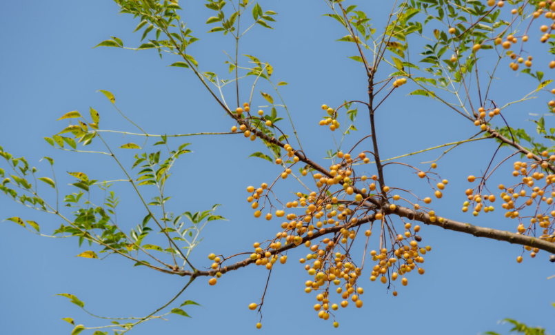 1676039140477456.png 微信圖片_20221023220227.png