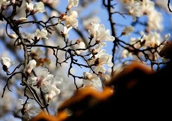 1676070443552103.jpg 微信圖片_20230112000104.jpg