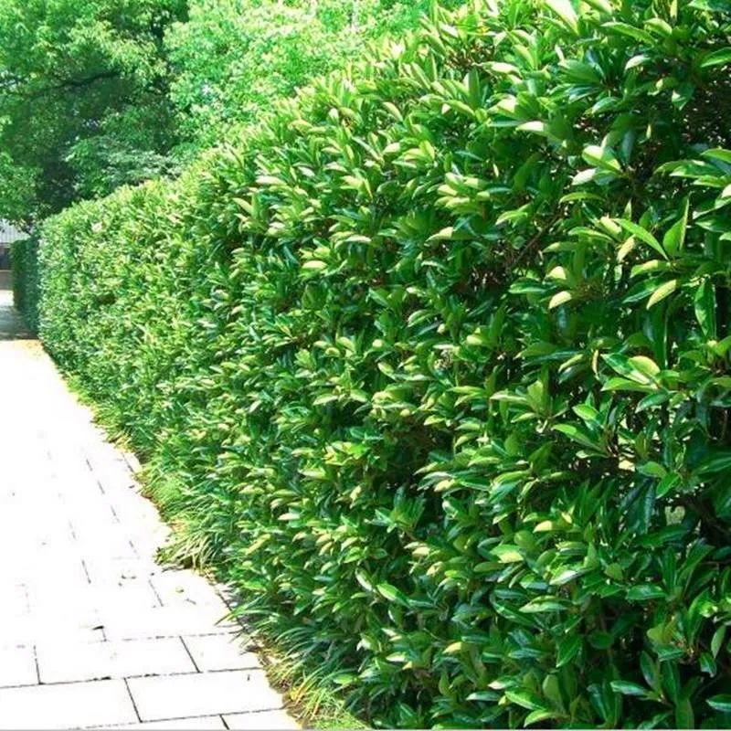 1676895064213224.jpg 微信圖片_20230220200946.jpg