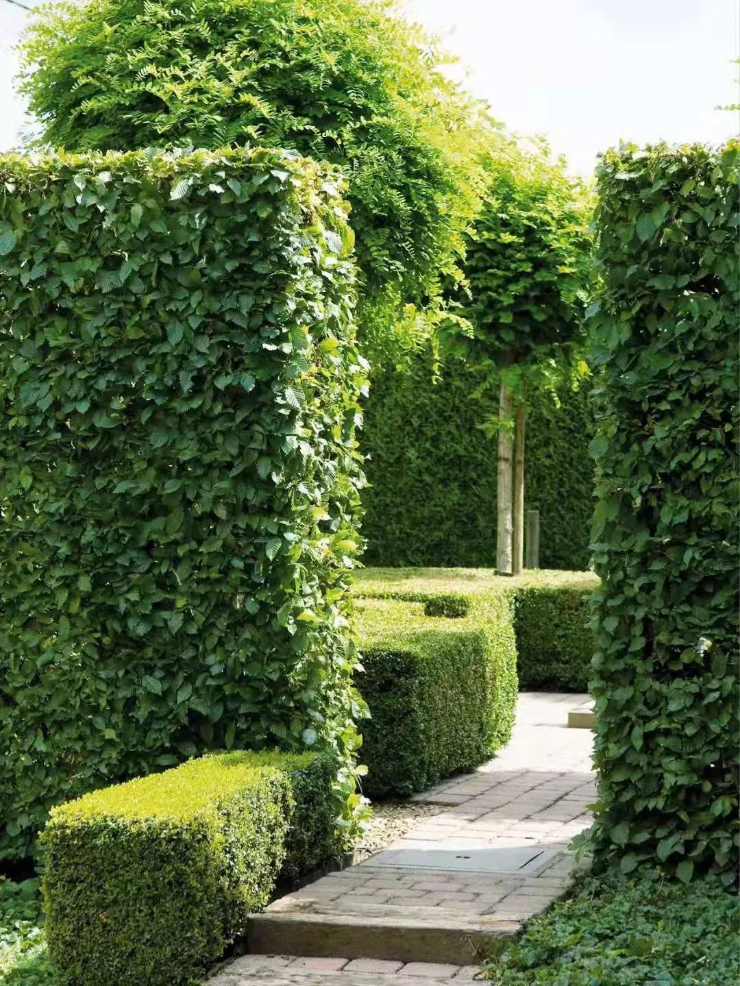 1676895072267288.jpg 微信圖片_20230220200949.jpg